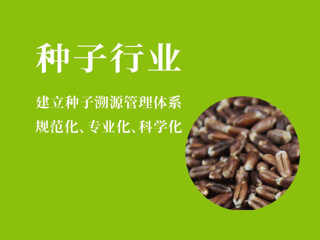 种子行业